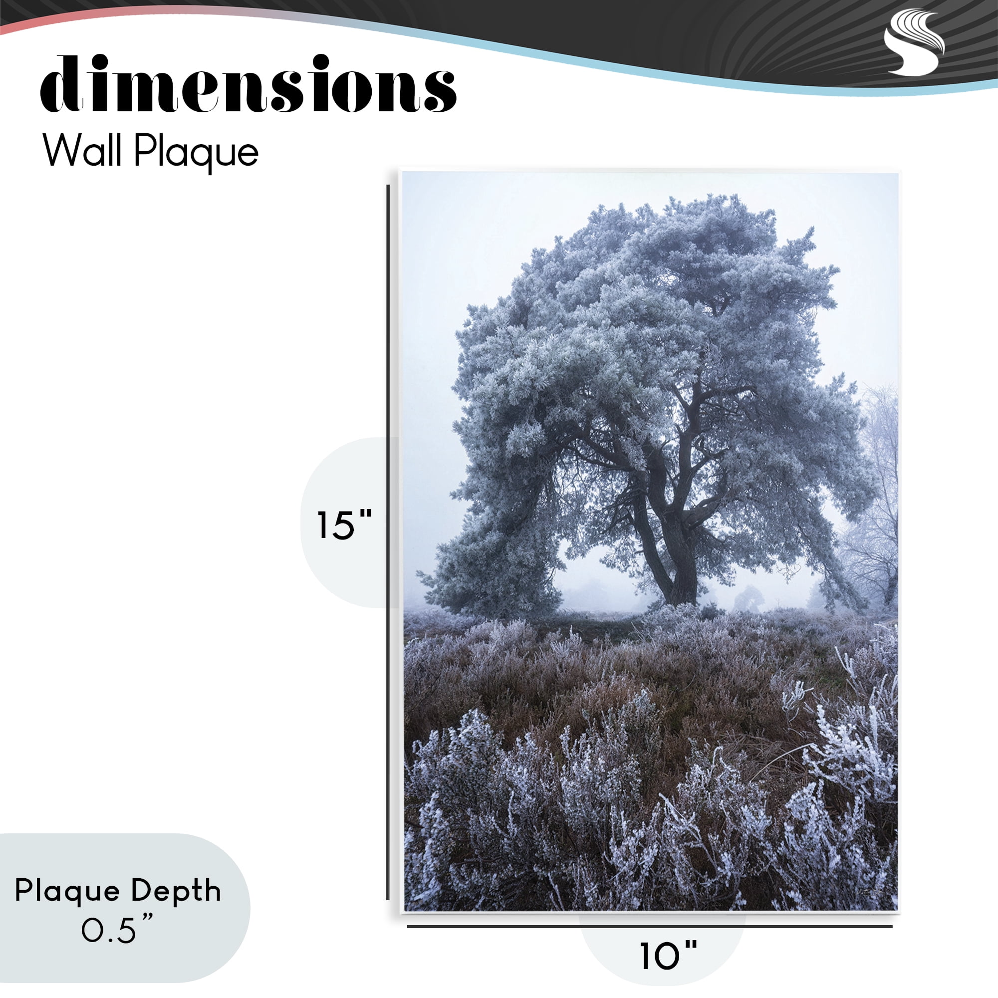 Stupell Industries Frosted Tree in Winter Mist Wall Plaque Art, design by Martin Podt