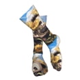 thumbnail image 4 of Pofeuu Clear Sky Cute Sunflower Panda Print Stockings, Adult Running Hiking Socks for Youth and Adult-One Size, 4 of 8