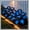 C, variant on Natural Hostas —-10 color options-- Non-GMO — Easy to cultivate— For Home Landscape Decoration(Non-Artificial)