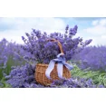 thumbnail image 2 of Organic Lavender Dried Flowers from Greece, 30g - by Geusi Vounou, 2 of 6