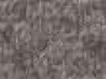 Graphite Gray
