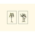 thumbnail image 3 of Vision Studio 14x12 Black Modern Framed Museum Art Print Titled - Miniature Palm I, 3 of 5