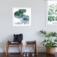 thumbnail image 3 of Art.com Dull Eucalyptus Mate Art Print by Albert Koetsier, White Frame Wall Art, 29" x 29", 3 of 5
