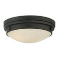 thumbnail image 3 of Lucerne 3-Light Ceiling Light in English Bronze, 3 of 9