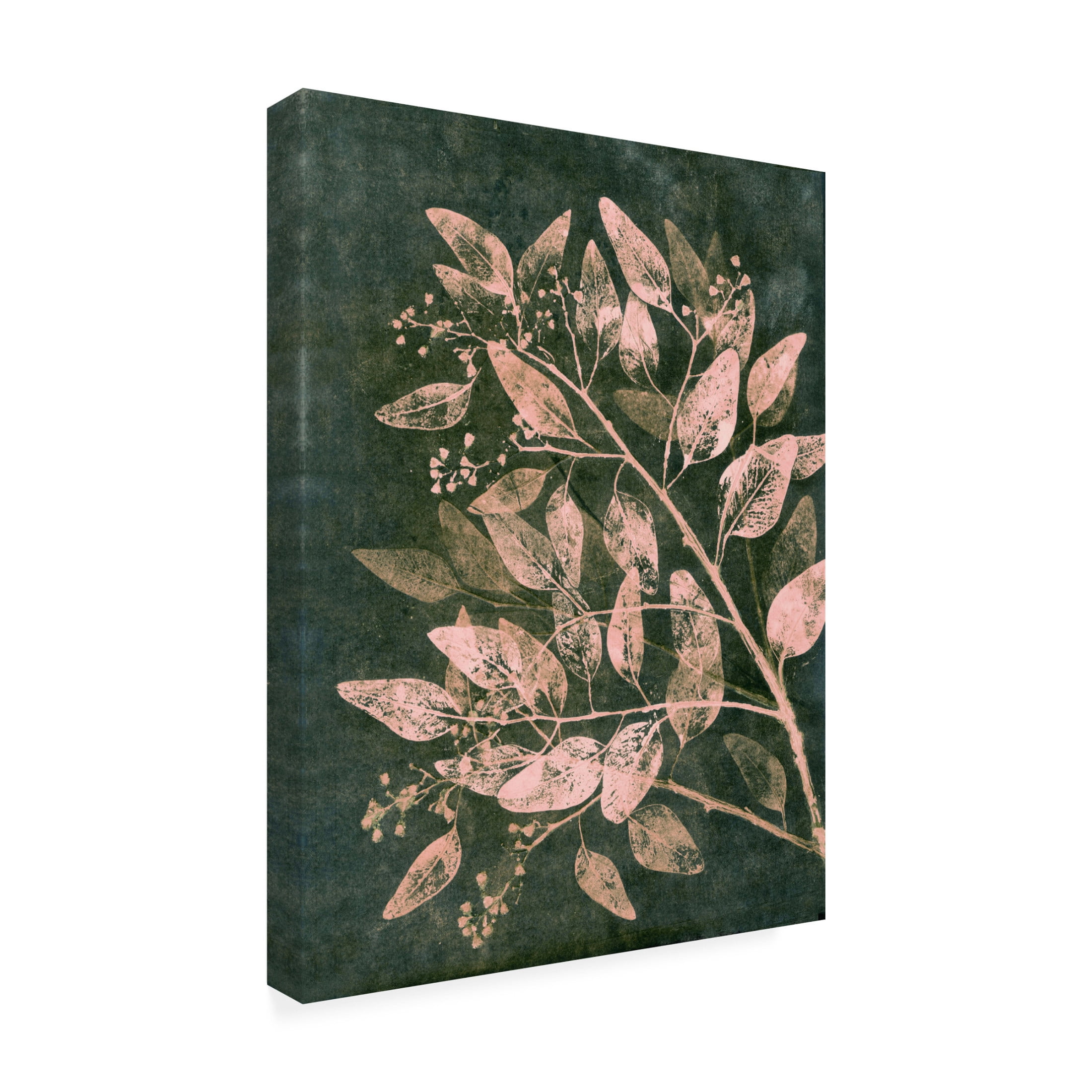 Canvas Wall Art - Pernille Folcarelli 'Eucalyptus 1 Moss Blush' Wall Art for Living Room, Bedroom, or Office Décor by Trademark Fine Art - 14 x 19 Inches