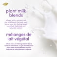 thumbnail image 4 of Dove Rice Milk & Velvet Acai Body Wash, 517ml, 4 of 7