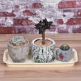 thumbnail image 5 of Unique Bargains 30.5x14cm Plastic Rectangular Plant Pot Saucer Flower Drip Tray, Beige 6 Count, 5 of 5