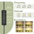 thumbnail image 3 of Soporte para plantas GENTINGBRO para interiores con luces de cultivo, 158 cm de altura, 12 niveles, 3 of 7