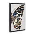 thumbnail image 3 of Stupell Industries Traditional Butterfly Wing with Spots Black Floating Frame Canvas Art, 17 x 25, by Melissa Wang, 3 of 8