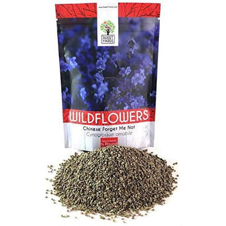 Chinese Forget Me Not Seeds, Cynoglossum Amabile - 1/4 lb + Bulk Sizes