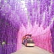 thumbnail image 3 of Flores artificiales de glicina, guirnalda colgante de glicina falsa, cadena de flores de seda sintética para arco de boda, ceremonia, fiesta, jardín, hogar, decoración de fondo., 3 of 8
