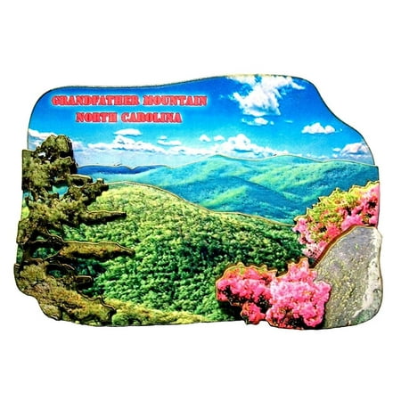 

Grandfather Mountain North Carolina Artwood Fridge Magnet