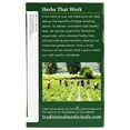 thumbnail image 4 of Traditional Medicinals Herbal Tea Organic Chamomile 16 Tea Bags, 4 of 4