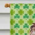 thumbnail image 3 of Boykin Spaniel St Patrick's Irish Flag Canvas House Size, 3 of 4