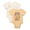 Honey, variant on Barney Baby Boys or Girls Graphic One-Piece Bodysuits, 2-Pack, Sizes 0/3M-24M