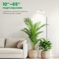 thumbnail image 2 of Grow Lights for Indoor Plants Full Spectrum ;; Plant Light with Gooseneck Colors Modes and Dimmable Levels Timer LEDs Height Adjustable Grow Lamp for L, 2 of 7