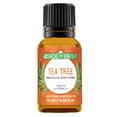 thumbnail image 1 of BodyBest Body Best Huile Essentielle d'Arbre à Thé 10 ml, 1 of 1