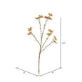 thumbnail image 2 of Vickerman 24" Artificial Beige Illicium Verum Spray. Includes 4 sprays per pack., 2 of 4