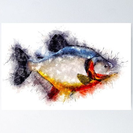 Red Bellied Piranha Watercolor Art For The Fishing Lovers And Anglers / Gifts For Fisherman Poster Wall Art Modern Wall Decor For Living Room Bedroom 12x18 UNFRAMED