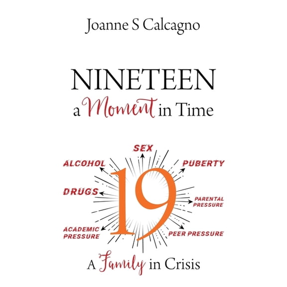 NINETEEN a Moment in Time: A Family in Crisis, (Paperback)