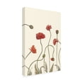 thumbnail image 2 of Sandra Iafrate 'Coral Poppy Display III' Canvas Art, 2 of 3