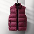 thumbnail image 3 of Chaleco de algodón de plumón para hombre de otoño e invierno, abrigo cálido con cuello grande y moda de Europa y Estados Unidos, 3 of 5