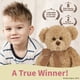 thumbnail image 4 of Peluche Bear Bearington Baby Bensen, 25 cm, color marrón, 4 of 5