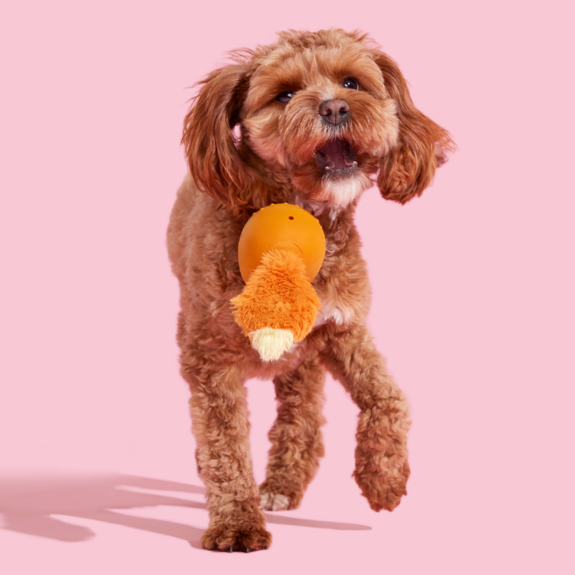 BARK Fox Franz the Fox Plush Dog Toy, Small to Medium Dogs
