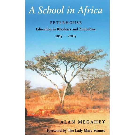 A School in Africa (Hardcover)