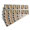 Florentine Madonna and Child 5 Books of 20 USPS Forever First Class Postage Stamps U.S. Holiday Christmas (100 Stamps)