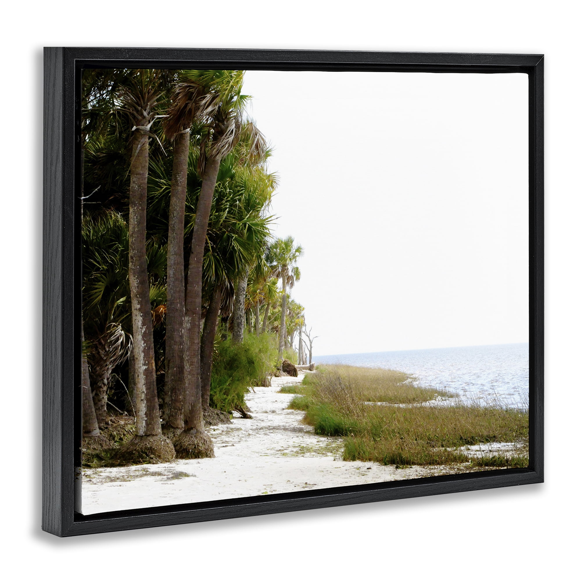 Stupell Industries Palm Beach Path Landscape Photography Black Floater Framed Canvas Art Print Wall Art, 31 x 25