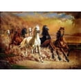 thumbnail image 2 of Cuadros Decorativos Pintura de diamante 5D DIY serie de caballos y animales pintura Ehuebsd de diamante redondo completo decoración del hogar regalo pintura colgante 40x30cm, 2 of 8