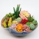 thumbnail image 5 of 24 piezas de suculentas simuladas, plantas decorativas para pared, plantas artificiales, 5 of 6
