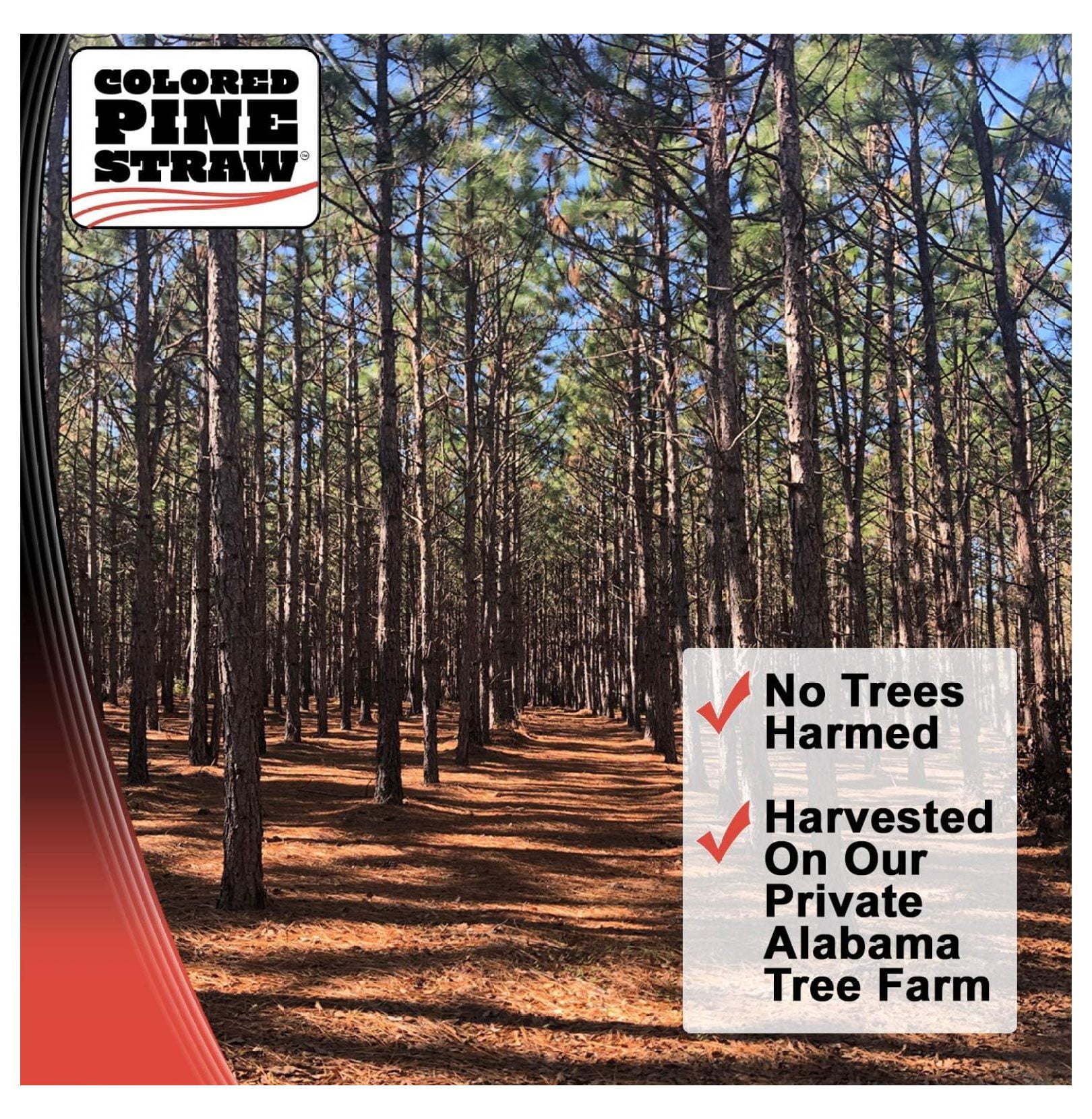 Longleaf Pine Straw - Landscaping Straw for Garden Beds - UV Protected Pine Needles - 90 sq ft Coverage - Natural Brown Mulch for Landscaping