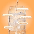 thumbnail image 4 of Clean Simple Eats Clear Protein Water, Tropical Orange, Gluten Free, Zero Added Sugars, 12 Count, 4 of 8