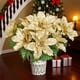 thumbnail image 4 of Multi-Tier Wooden Plant Stand, Stylish Flower Pot Display Shelf for Indoor/Outdoor Decor, 4 of 7