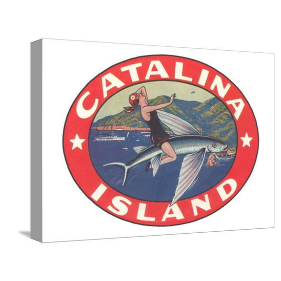 Art.com Woman Riding Flying Fish, Catalina Island Stretched Canvas Print Wall Art, 16" x 12"