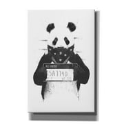 Epic Graffiti 'Bad Panda' by Balazs Solti, Canvas Wall Art, 12"x18"