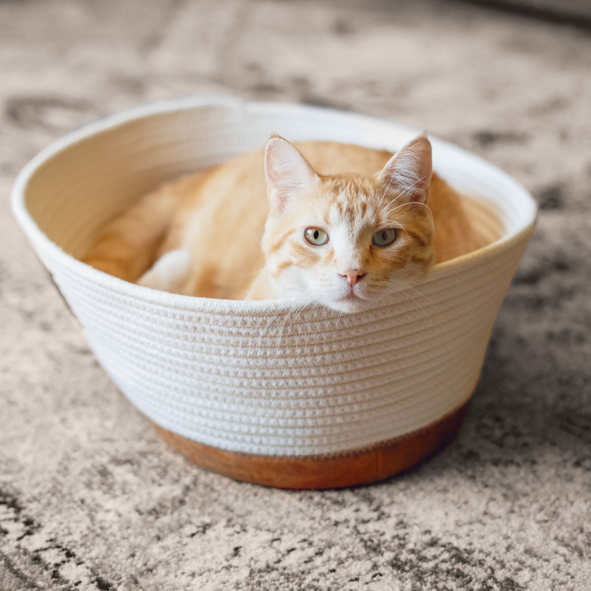 Harry Barker White Rope Cat Bed, One Size