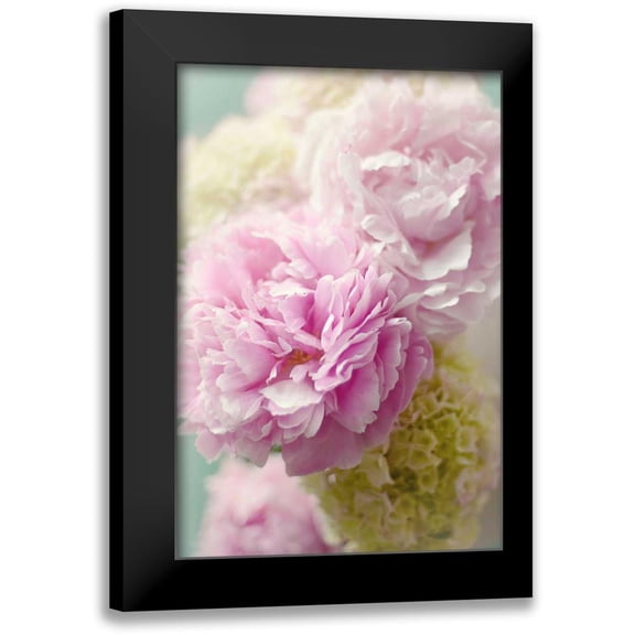 Gardner, Sarah 11x14 Black Modern Framed Museum Art Print Titled - Soft Pink Blooms