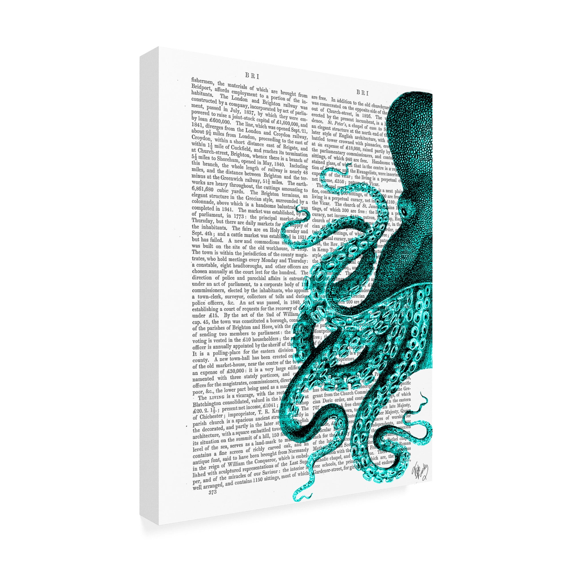 Trademark Fine Art 'Octopus Green Half' Canvas Art by Fab Funky
