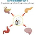 MMQ GLP-1 Weight Loss Fat Burner Drops Diet Supplement Slimming Drops