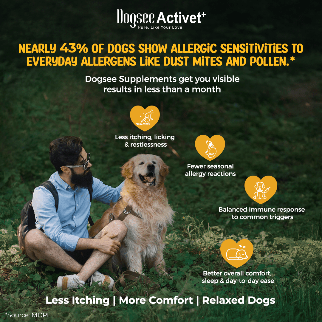 Dogsee Activet+ Allergy Support Chews Omega 3 Quercetin Probiotics 90 Chews