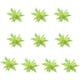 thumbnail image 1 of Mini suculentas Toystoory 10 piezas plantas simuladas decorativas PVC, 1 of 6