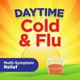 Equate Daytime Cold and Flu Relief, Liquid Cold Medicine, 12 fl oz