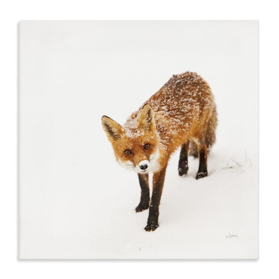 Stupell Industries Farmhouse Red Fox Winter Snow Animal Photograph Canvas Art, 17 x 17, by Aledanda