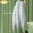 thumbnail image 2 of Triani 5Pcs Amaranthus Flower 16-28 Inch White Preserved Amaranthus Flowers Beautiful Giant White Flower Vines Decorative for Home Decor Wall Decoration(White), 2 of 7