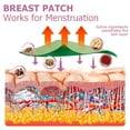 thumbnail image 3 of Bust Firming Pads, Bust Care Patch Herbal Extracts 16pcs Chest Lifting  for Female, 3 of 8