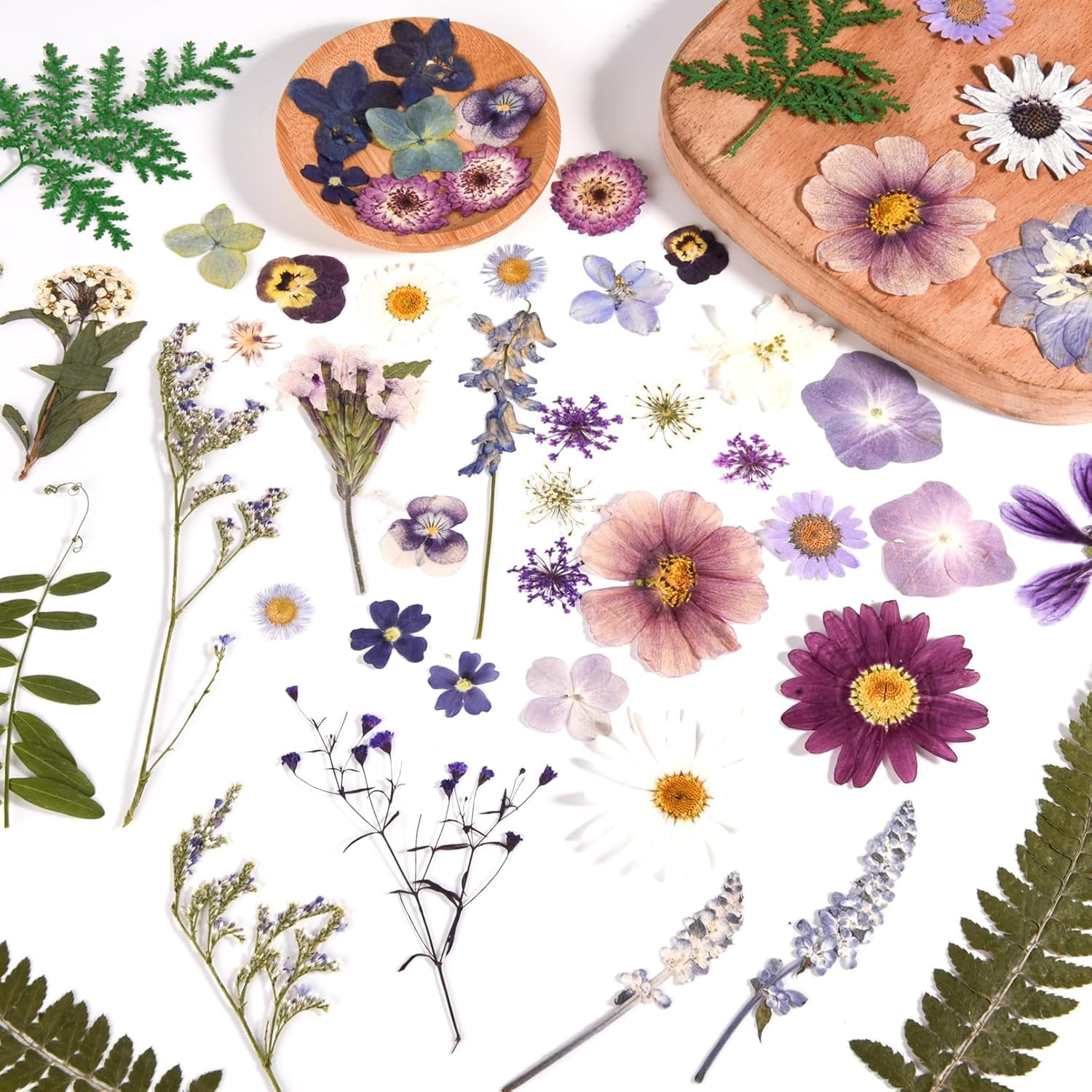 6 Pack 150PCS Real Pressed Dried Flowers Dry Leaves Craft Kit - Natural Dried Flowers for DIY Crafts, Resin Jewelry, Cards, Soap, CandleMaking, Nail Art, and Scrapbooking (Colorful)
