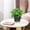 Multicolor, variant on Plastic Flower Pot for Indoor/Outdoor Use, Durable and Sturdy with Drainage Holes, Perfect for Personalized Gardening and Floral Decoration Multicolor